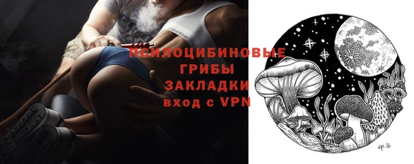 гашик Надым