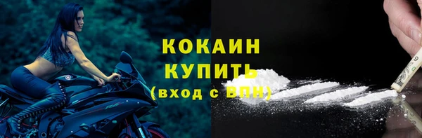 прущий лед Новозыбков