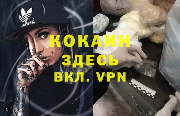 прущий лед Новозыбков