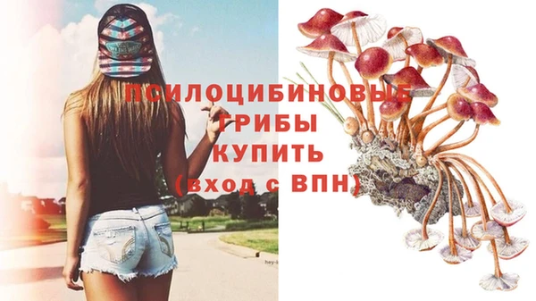jwh Новодвинск