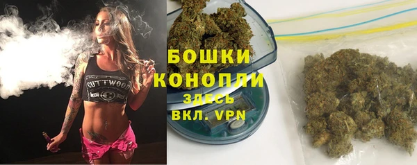 прущий лед Новозыбков